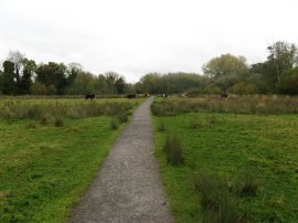 Denham Country Park