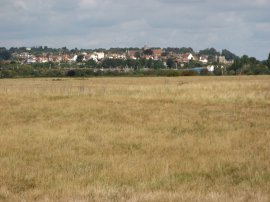 View back to Rye