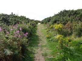 Hastings Country Park