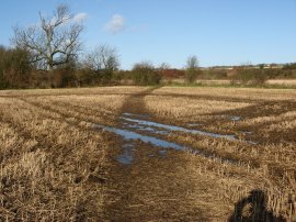 Field nr Lenham