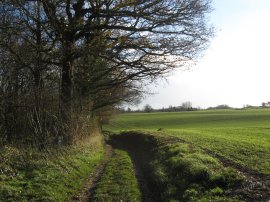 Nettlepole Lane