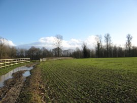 Stour Valley Path, nr Little Chart