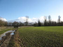 Stour Valley Path, nr Little Chart