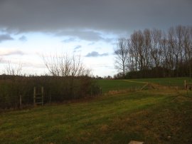 Path nr Bear's Lane