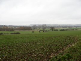 Fields nr Ashford