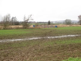 Field besides the River Stour