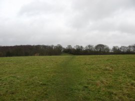Approaching Warren Wood, Wye
