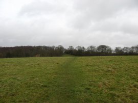 Approaching Warren Wood, Wye