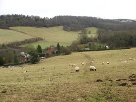 Stour Valley Walk nr Pope Street