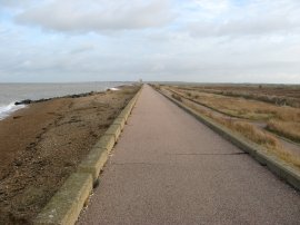 Northern Sea Wall, nr Reculver