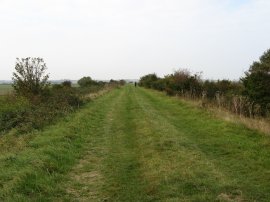 Rushbourne sea wall