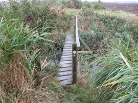 Footbridge over the Whitfield Sewer