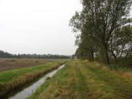 Footpath towards Chitty