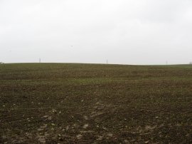 Fields nr Grove Ferry