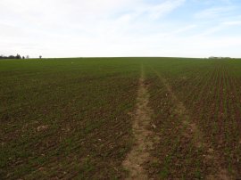 Field nr Reculver