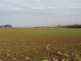 Field nr Reculver