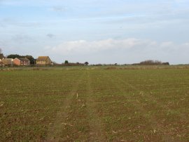 Field nr Bishopstone