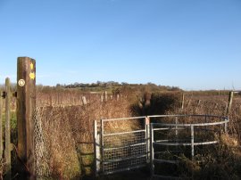 Approaching Canterbury