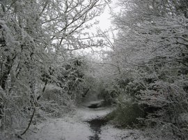 Path from Calvert Road