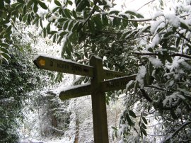 Crossing the North Downs Way