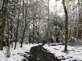 Thames Down Link path