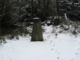 Trig point, Mickleham Downs