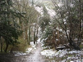 Steps down to Headley Road