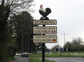 Dorking