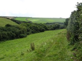 Path nr Blagdon Farm