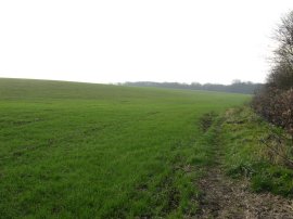 Field nr Hooks Marsh