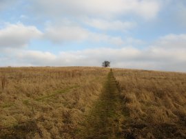 Hill nr Monkhams Hall