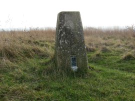 Trig Point, Monkhams Hall