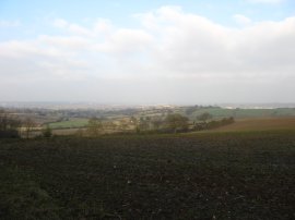 View from Galleyhill Wood