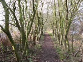 Path between the boating lakes