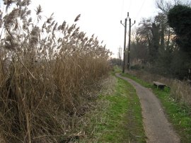 Path below Aqueduct Lock