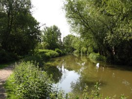 River Stort, Bishops Stortford