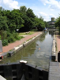 Burnt Mill Lock No 10