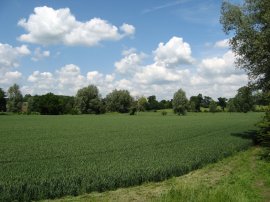 Fields nr Roydon Lock