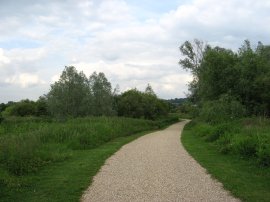 London Loop, Sewardstone Marsh