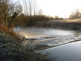 Great Stour, nr Chartham