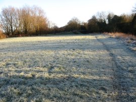 Fields nr Chartham