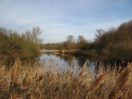 Stour Valley, nr Fordwich