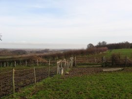 View towards Thanet