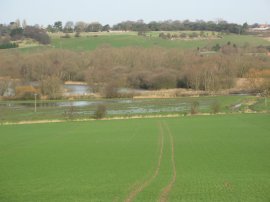 Stour Valley, nr Fordwich