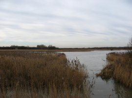 Stodmarsh National Nature Reserve