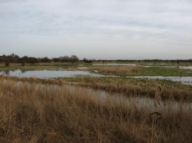 Stodmarsh National Nature Reserve