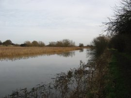 Great Stour River