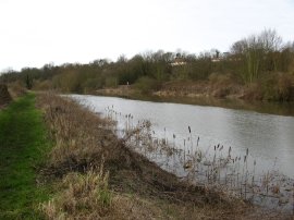 Great Stour River, Grove Ferry