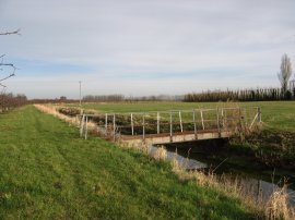 Fields nr Westmarsh