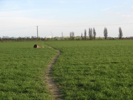 Approaching Sandwich
